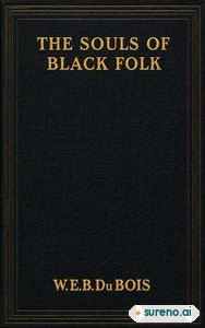 Cover of The Souls of Black Folk