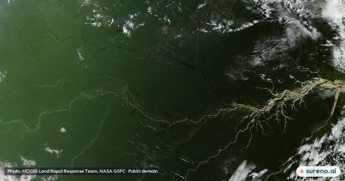 Early Autumn in the Amazon Basin (MODIS 2026-03-24).jpg