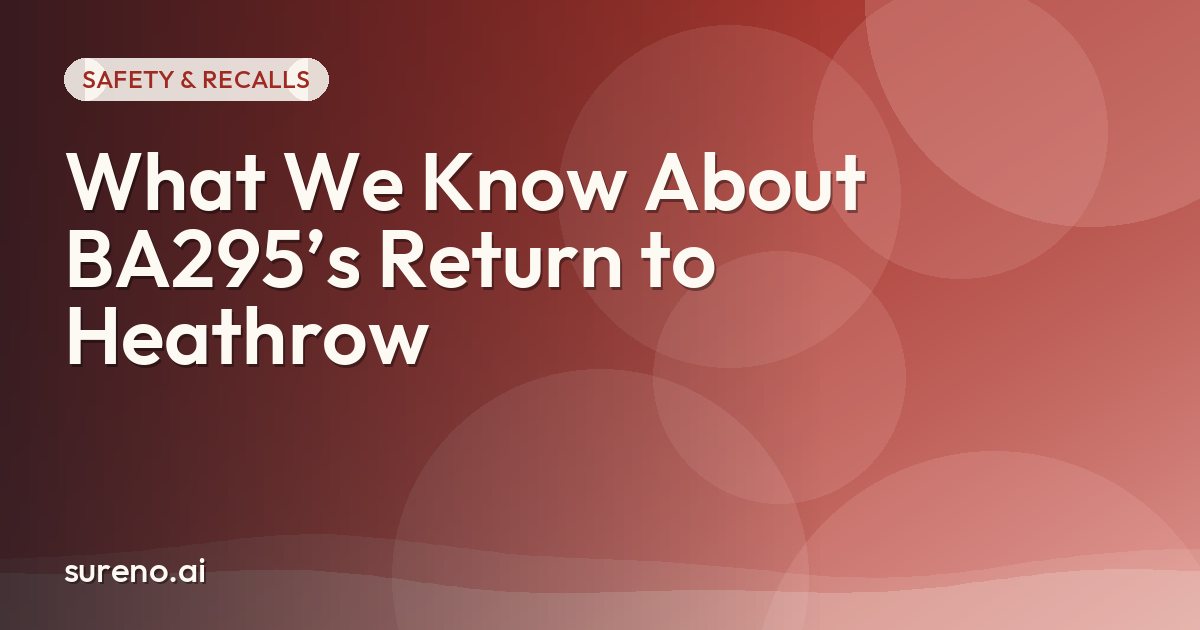 What We Know About BA295’s Return to Heathrow