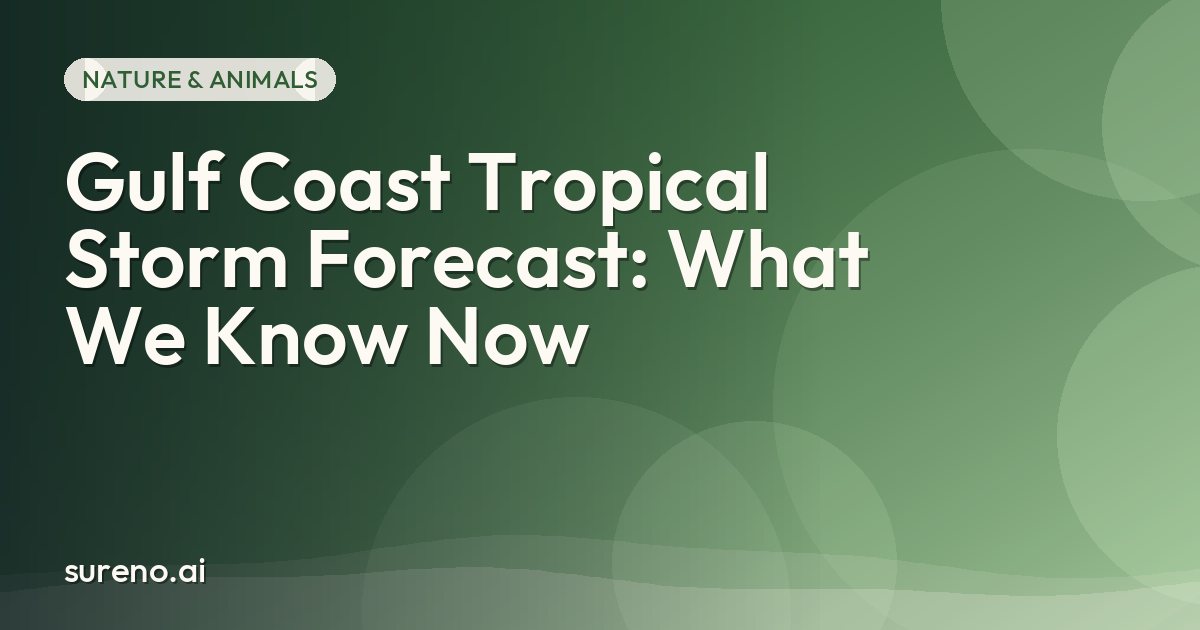 Gulf Coast Tropical Storm Forecast: What We Know Now
