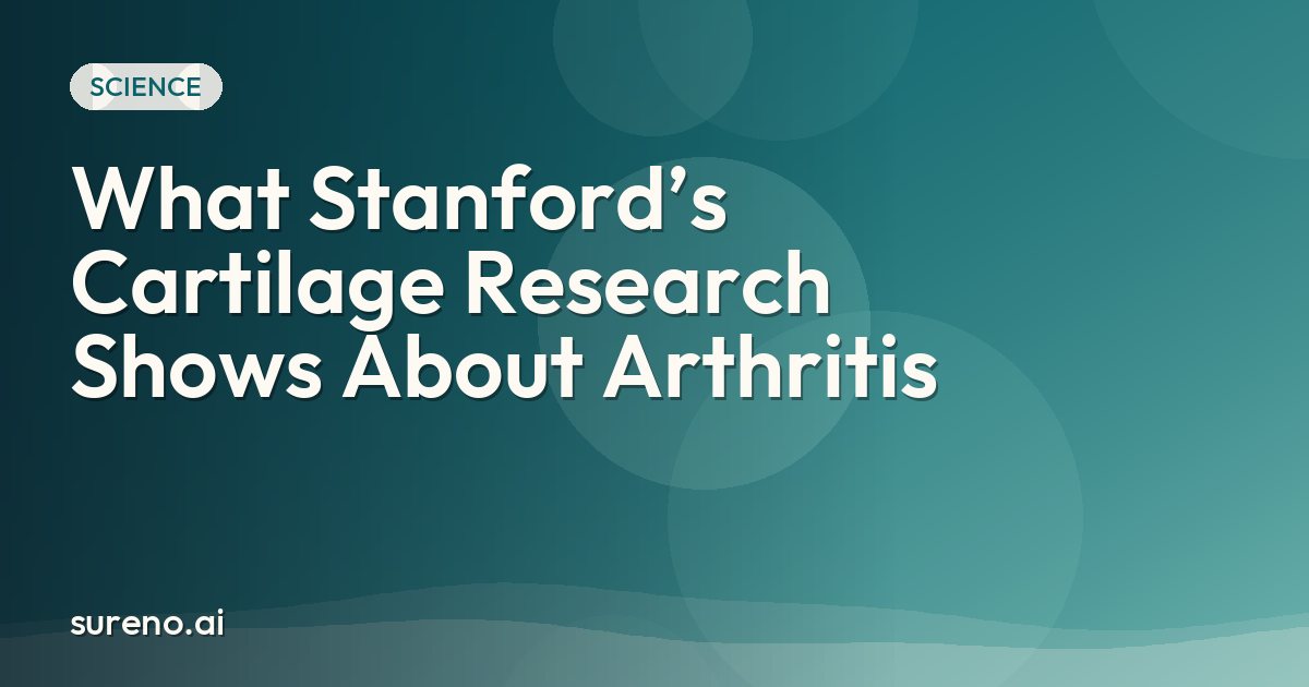 What Stanford’s Cartilage Research Shows About Arthritis