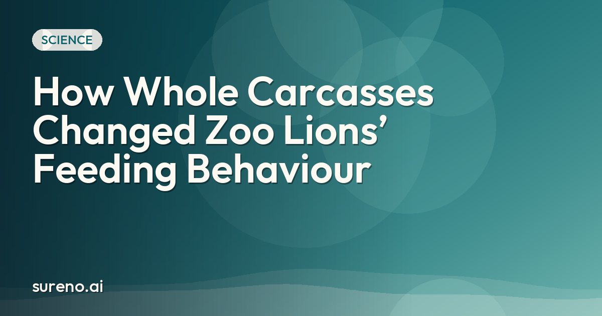 How Whole Carcasses Changed Zoo Lions’ Feeding Behaviour