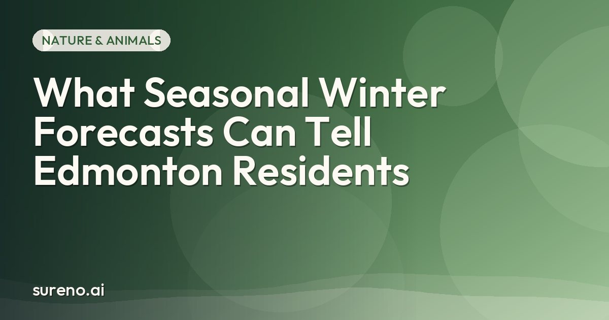 What Seasonal Winter Forecasts Can Tell Edmonton Residents