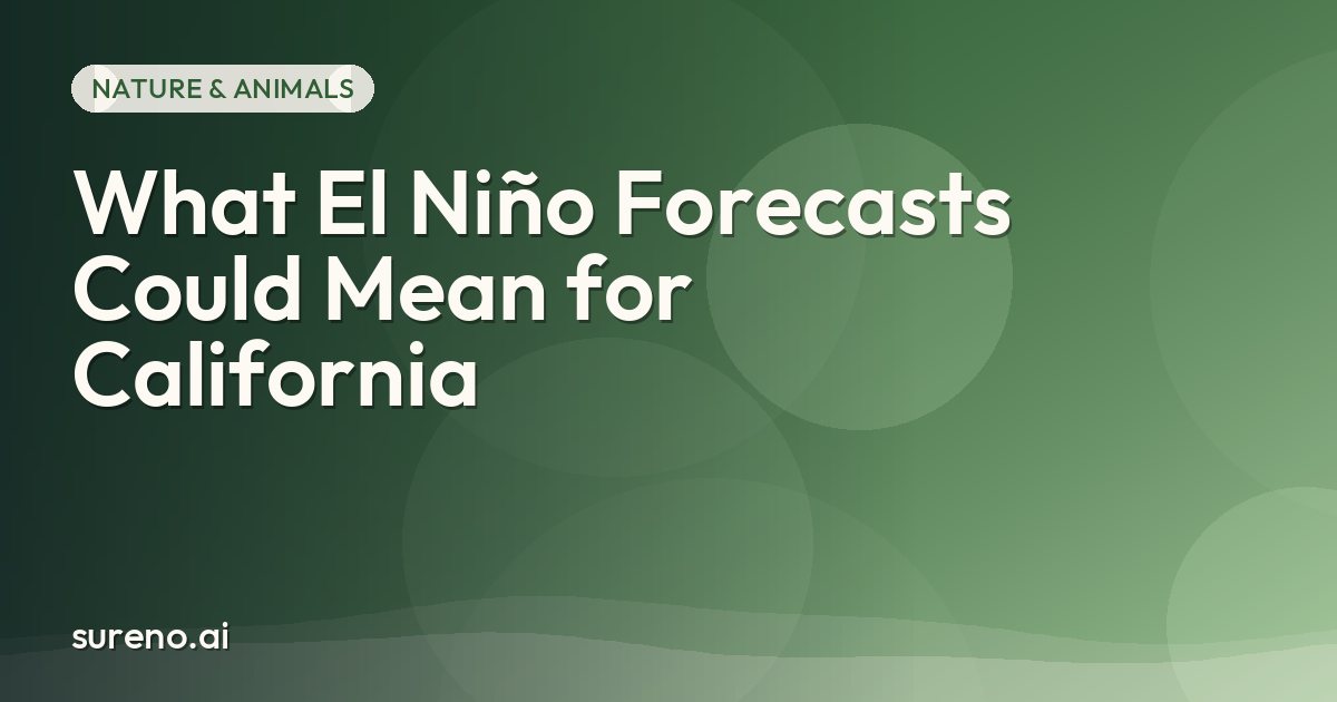 What El Niño Forecasts Could Mean for California