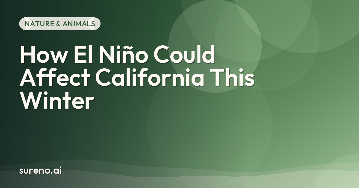 How El Niño Could Affect California This Winter