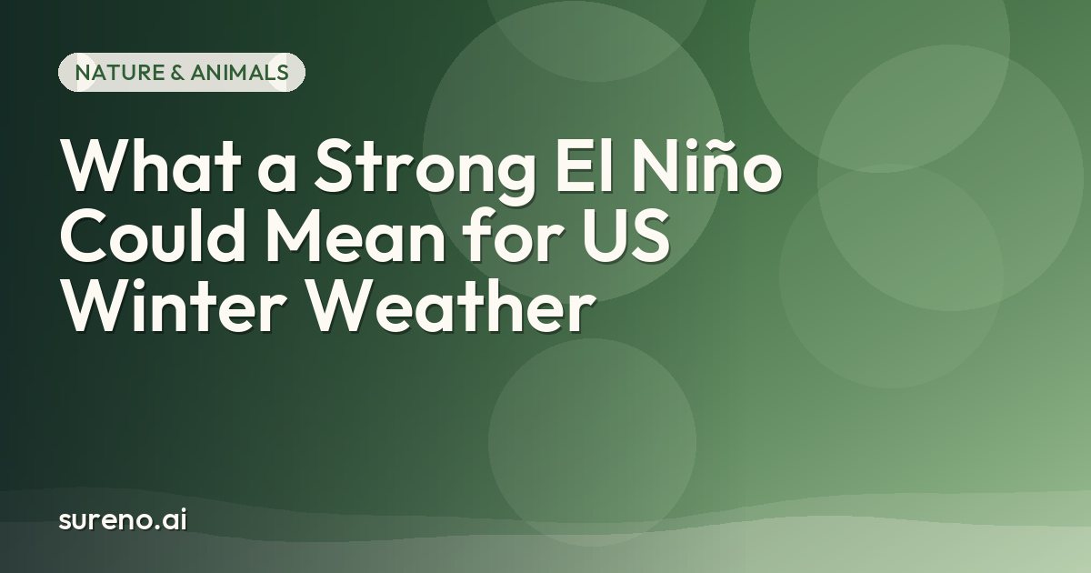 What a Strong El Niño Could Mean for US Winter Weather