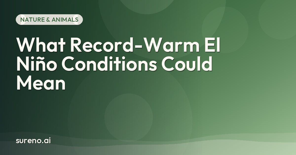What Record-Warm El Niño Conditions Could Mean