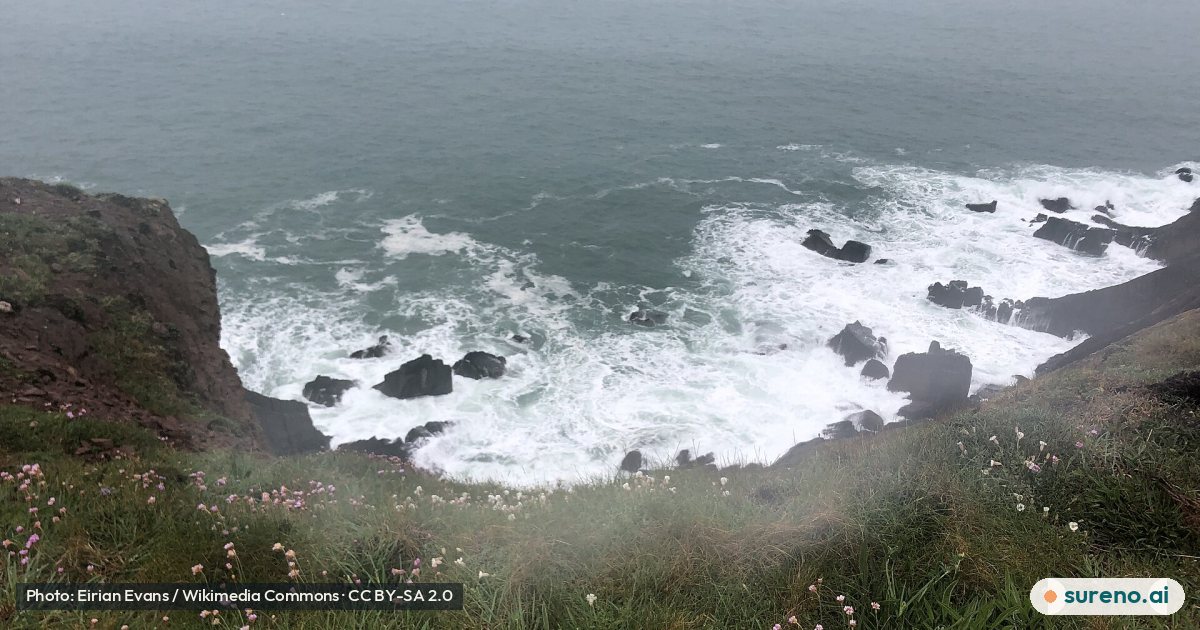 Turbulent sea near Vomit Point - geograph.org.uk - 7309144.jpg