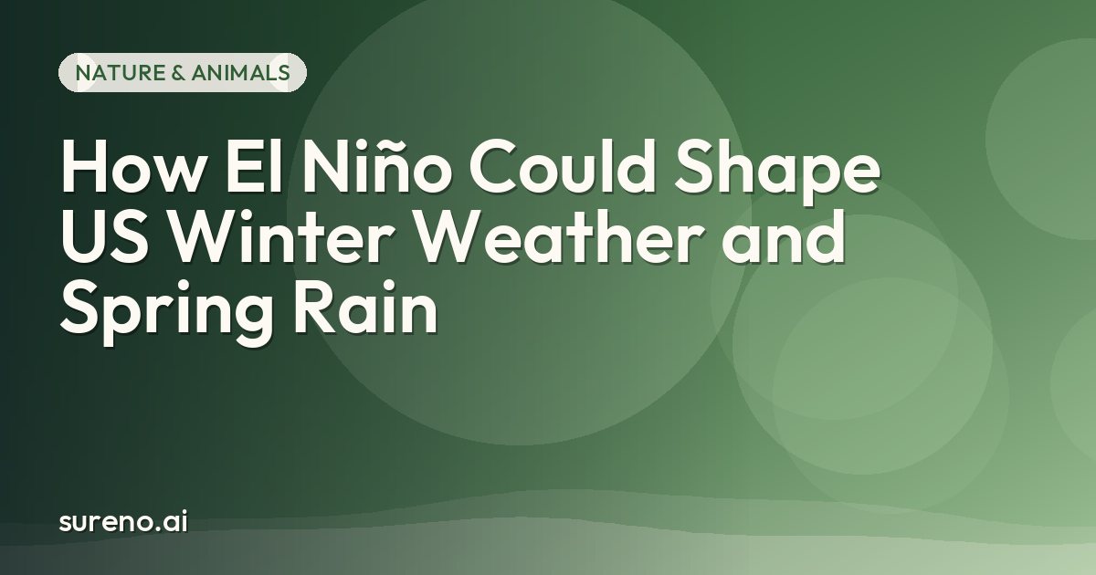 How El Niño Could Shape US Winter Weather and Spring Rain