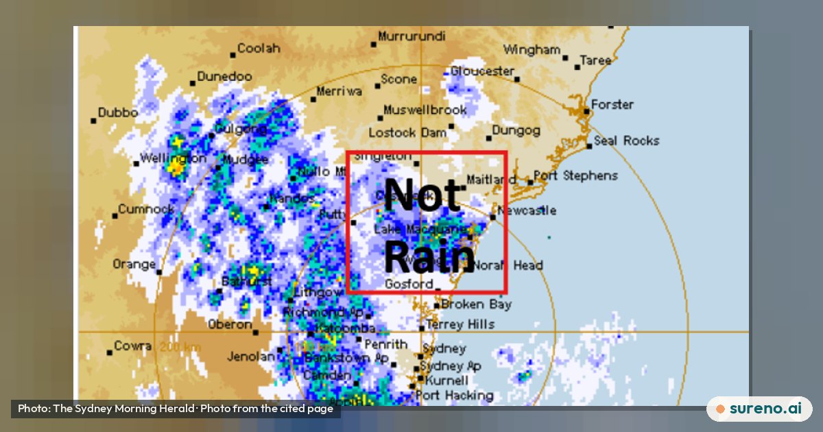 Why Bogong Moths Can Look Like Rain on Weather Radar