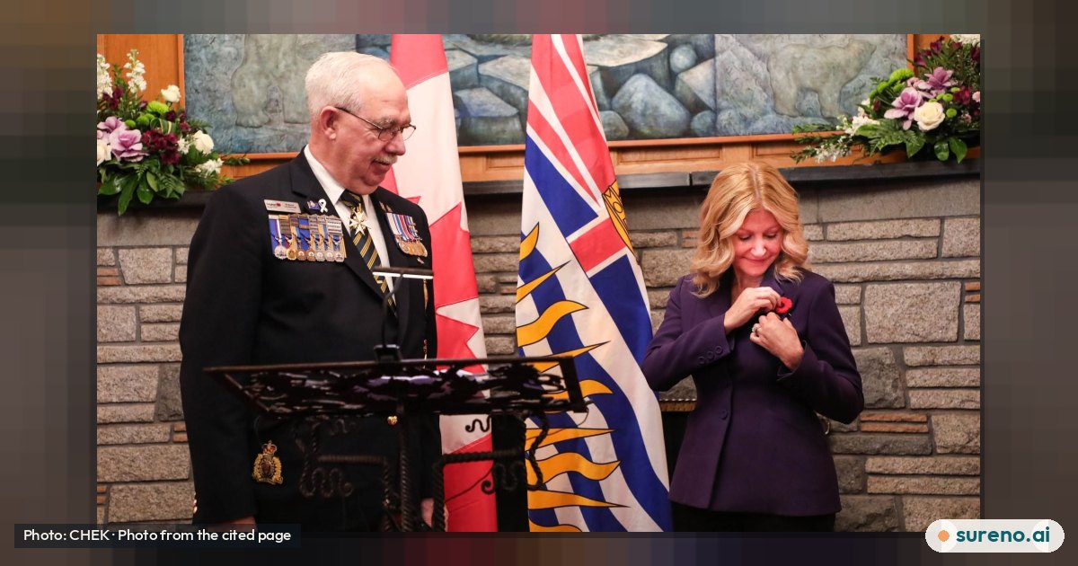 Why People Wear Poppies for Remembrance Day