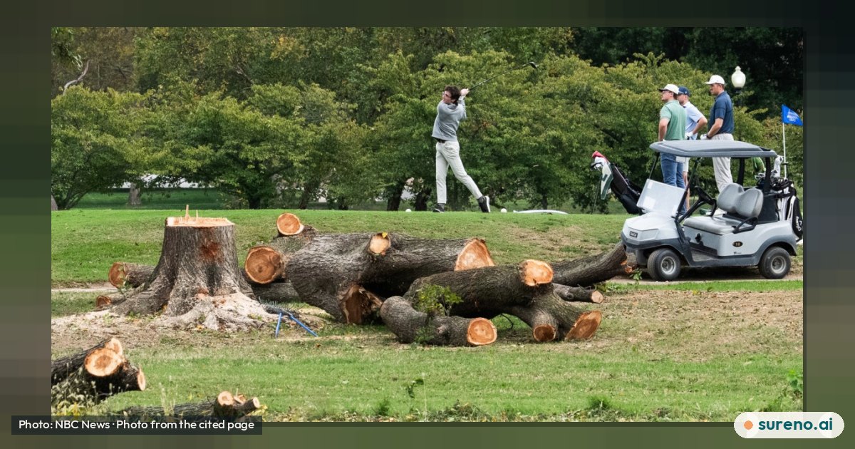 Why a Judge Paused Tree Removal at a D.C. Golf Course