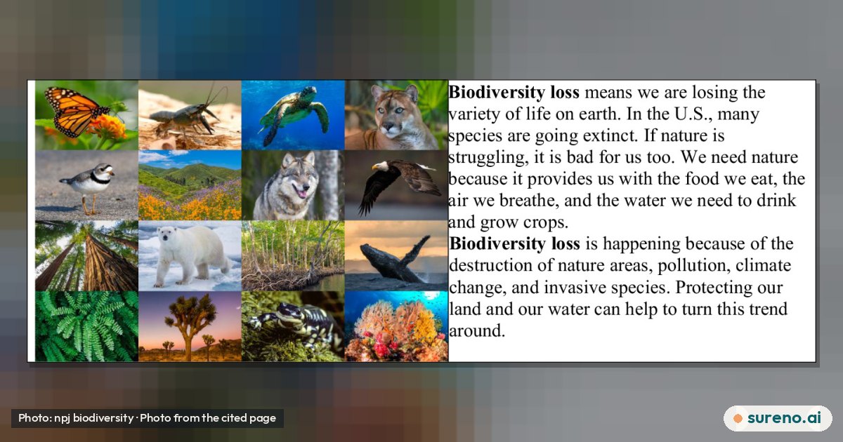 Ponds, rivers and clear words change how we read nature