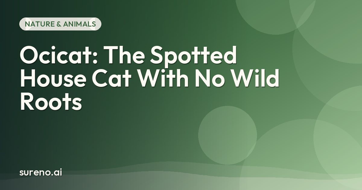 Ocicat: The Spotted House Cat With No Wild Roots