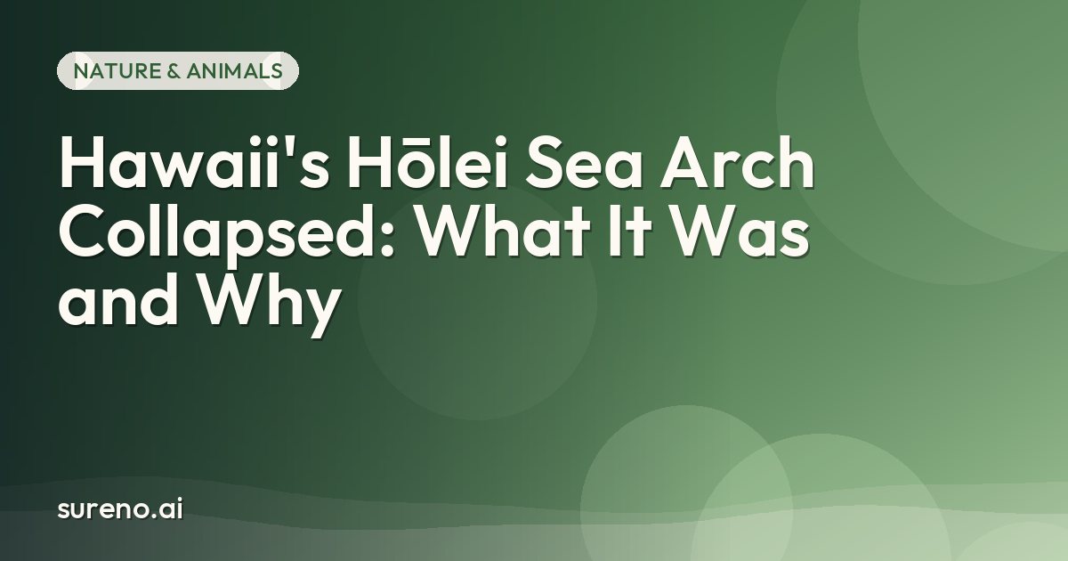 Hawaii's Hōlei Sea Arch Collapsed: What It Was and Why